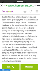 How on earth does anyone buy their first horse!!??