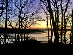 Any Witches Here? Part 10.