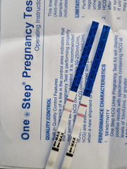 Cheapie Tests Vs Clear Blue etc...