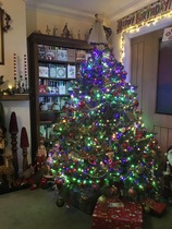 To ask to see your Christmas decorations?