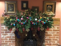 Show me your tree