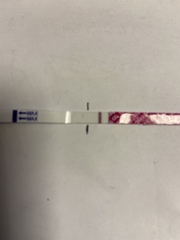 Testing 2nd Week December