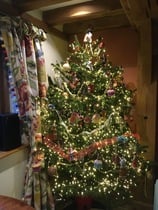 Show me your tree