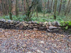 CF county council has destroyed my wall!