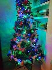Show me your tree