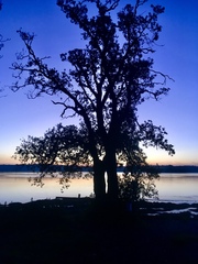 Any Witches Here? Part 10.