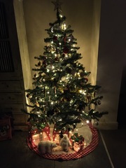 To ask to see your Christmas decorations?