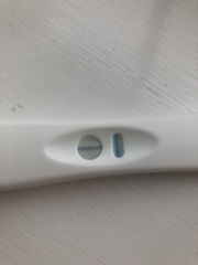 Positive cheapie, negative clear blue?!!