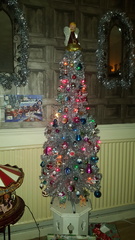 To ask to see your Christmas decorations?