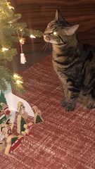 Eating the lights