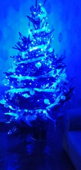 Let’s see your Christmas trees 🎄