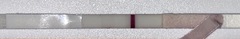 Evap lines?? Never seen a test like this!