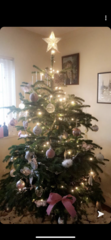 Show me your tree