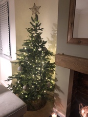 To ask to see your Christmas decorations?