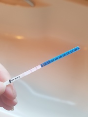 Ovulation testing