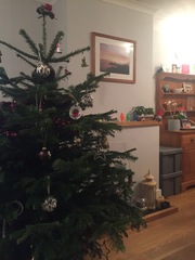 to think these are the tackiest Christmas decorations?