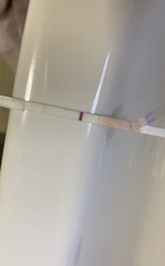 Serial tester! Squinter? Maybe?