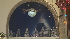 To ask to see your Christmas decorations?