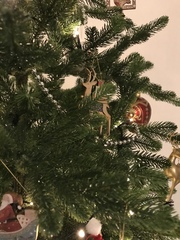 To be a tad disappointed with my balsam hill tree