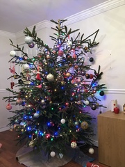 To ask to see your Christmas decorations?