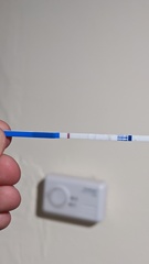 8 days late, evap or faint positive?