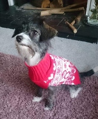 Can you help get Poppy home?