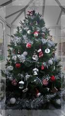 Show me your tree!