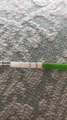 LH tests -is this positive??