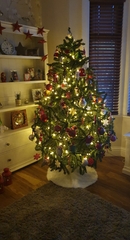 Show me your tree