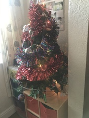 Let’s see your Christmas trees 🎄