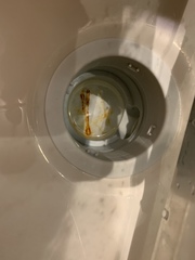 En suite smells vile