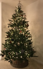 To be a tad disappointed with my balsam hill tree
