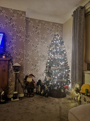 To ask to see your Christmas decorations?
