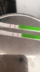 LH tests -is this positive??