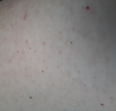 Any ideas what these are?