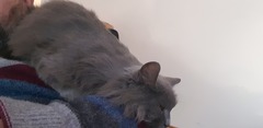 What's your DCat up to today? (Thread 7!)