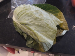 Is this a cabbage??