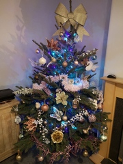 To ask to see your Christmas decorations?