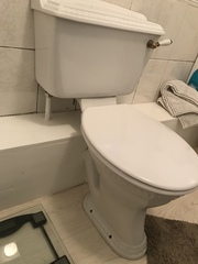 What type of toilet should I buy? *pic*