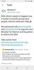 Amnesty, Mermaids and the GRA