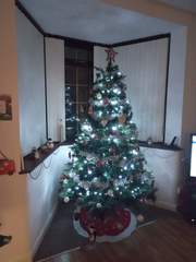 To ask to see your Christmas decorations?