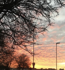 Any Witches Here? Part 10.