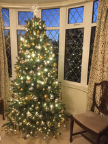 Show me your tree!