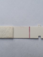 Squinter or evap? Help plz