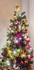Show me your tree