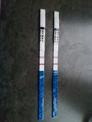 Cheapie Tests Vs Clear Blue etc...