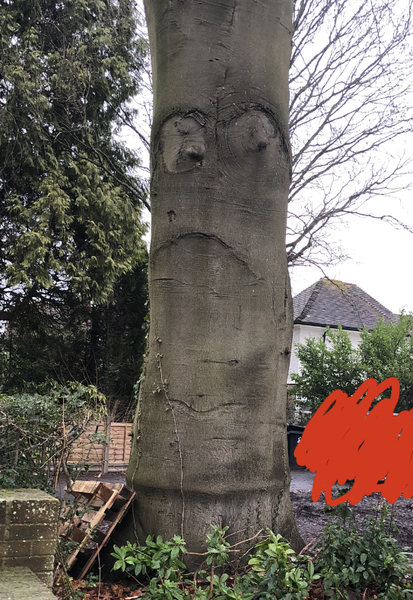 New year frugalling commences. Save those pennies for January