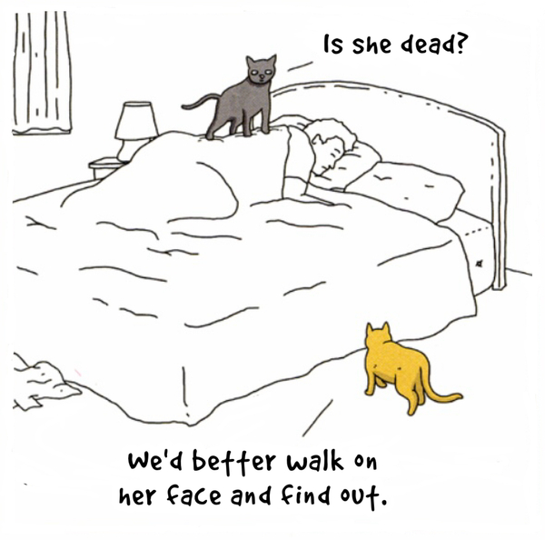 Waking us up!