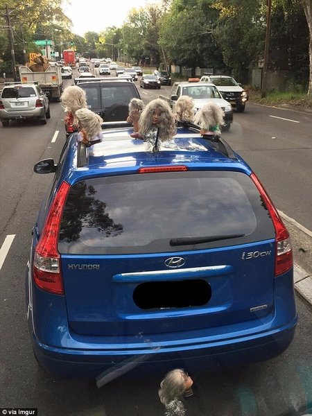 Local celebrities