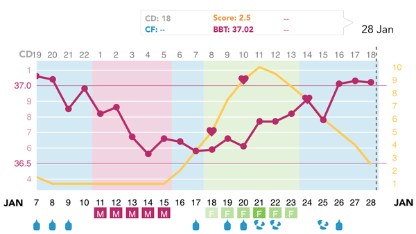 Ovulation Corner